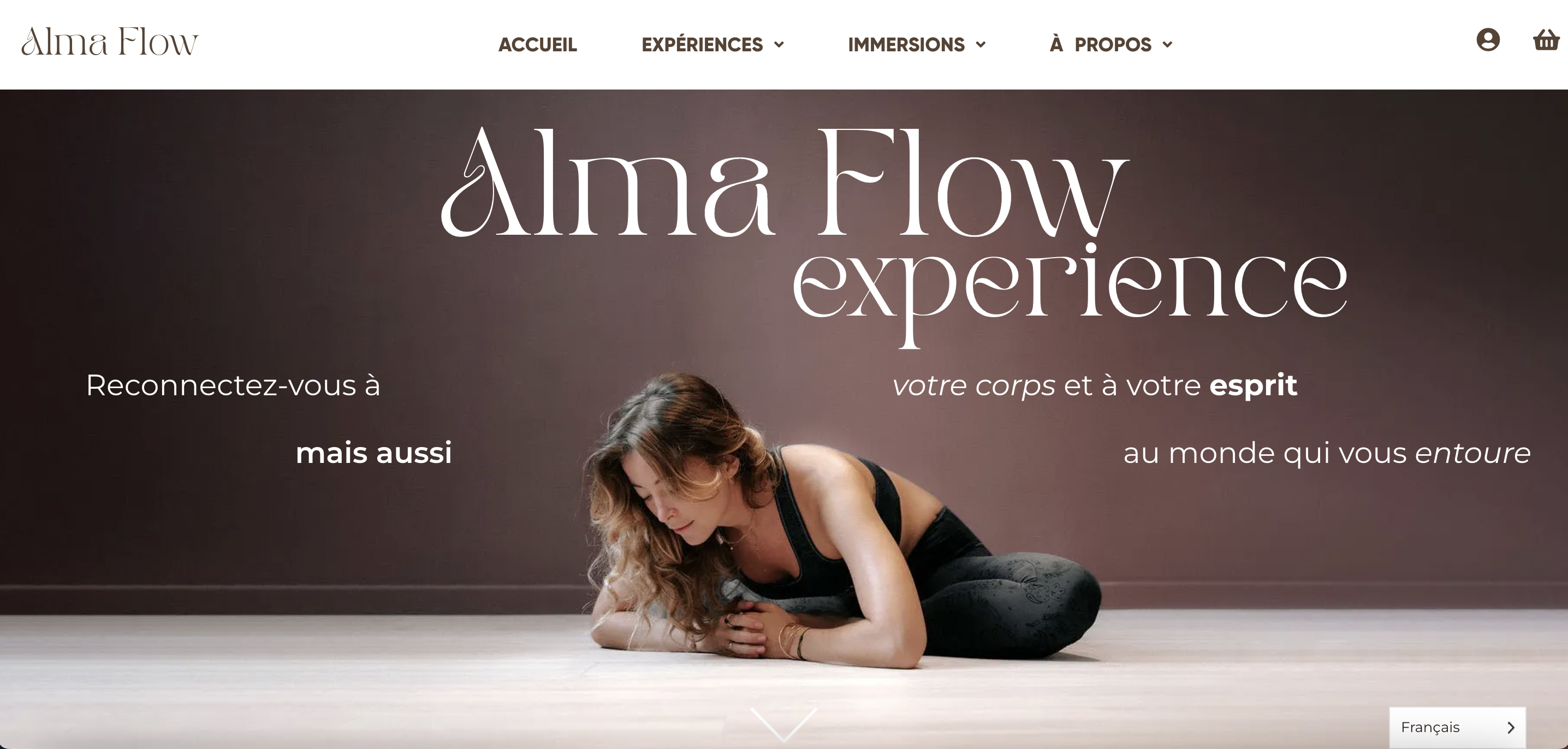 alma flow project